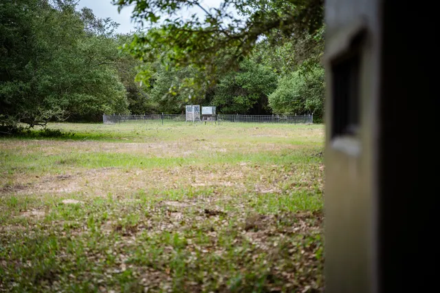 $5,275,000 | 3814 County Road 19, Hallettsville, TX 77964