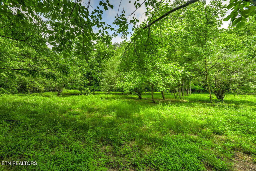 Stone Ridge Drive Andersonville, TN 37705 - Photo 18 of 19 95