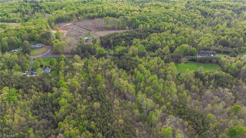 1095 Smith Road Stoneville, NC 27048 - Photo 3 of 8