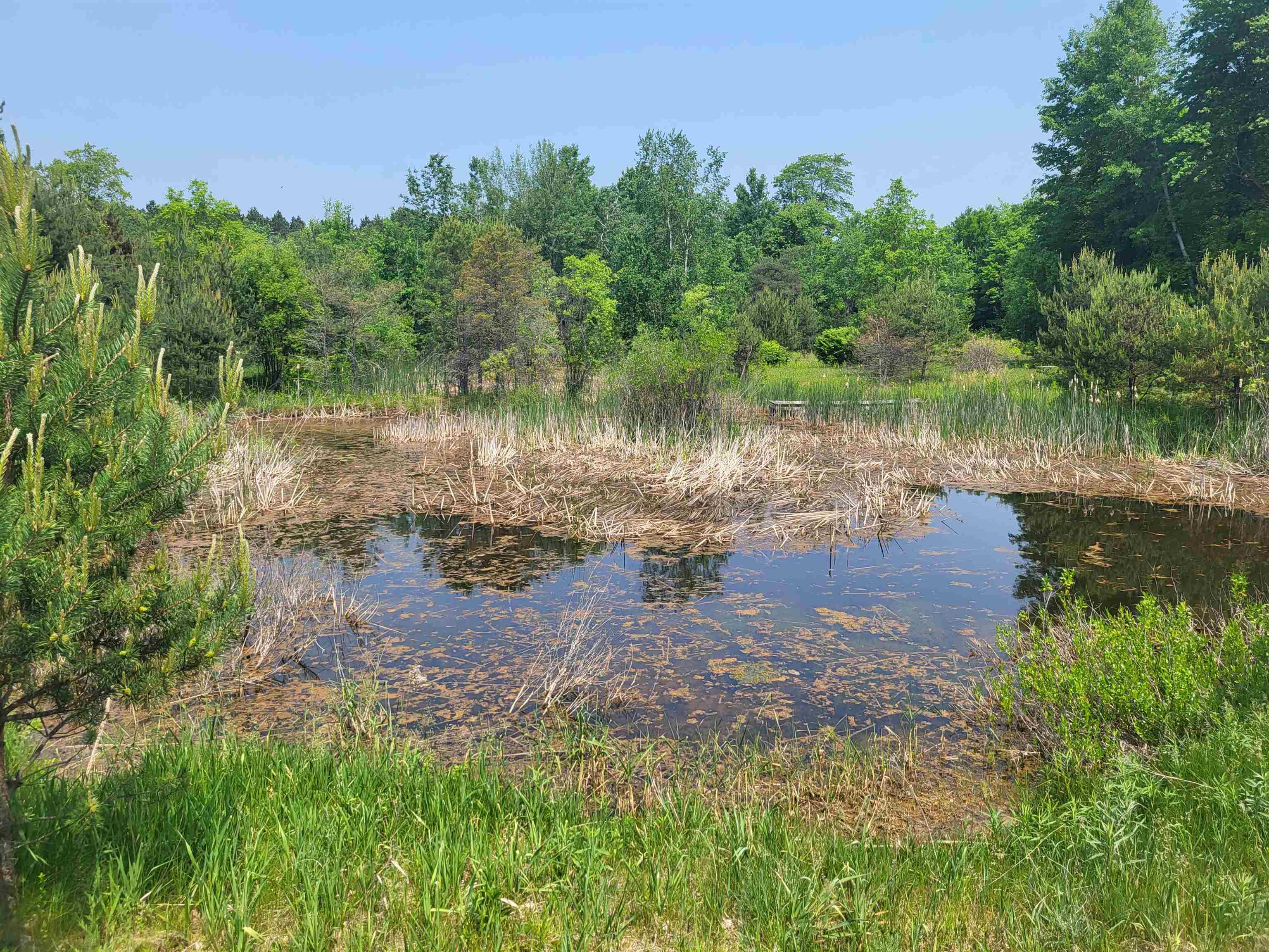 0 Springdale Road Thompsonville, MI 49683 - Photo 24 of 28