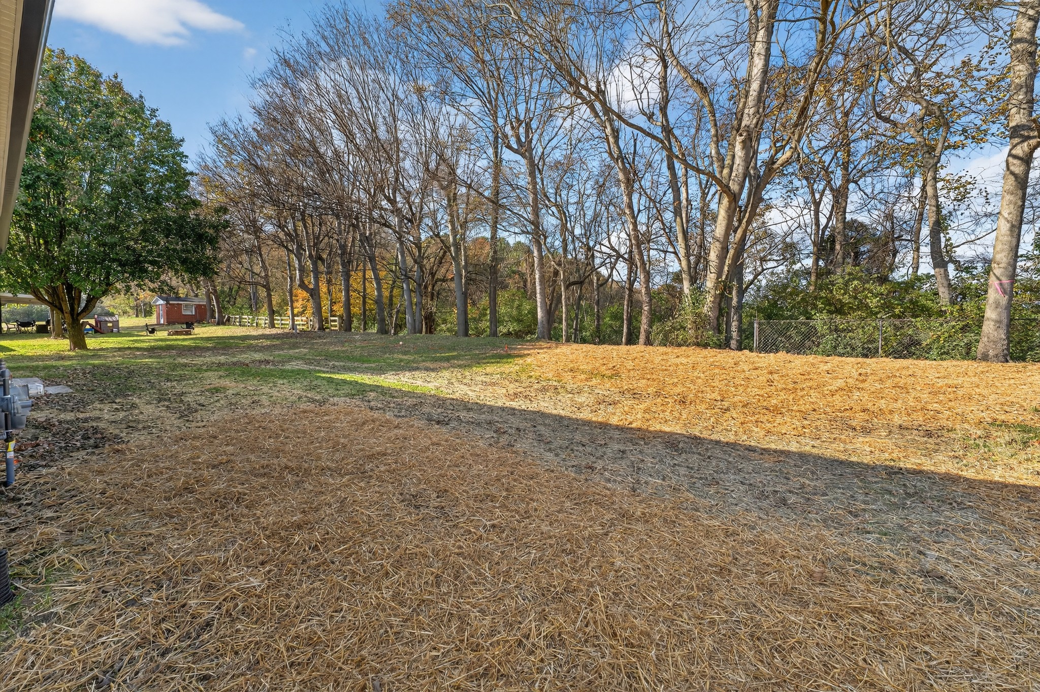 702 Meadow Road Mount Pleasant, TN 38474 - Photo 50 of 51 a view of a field with trees