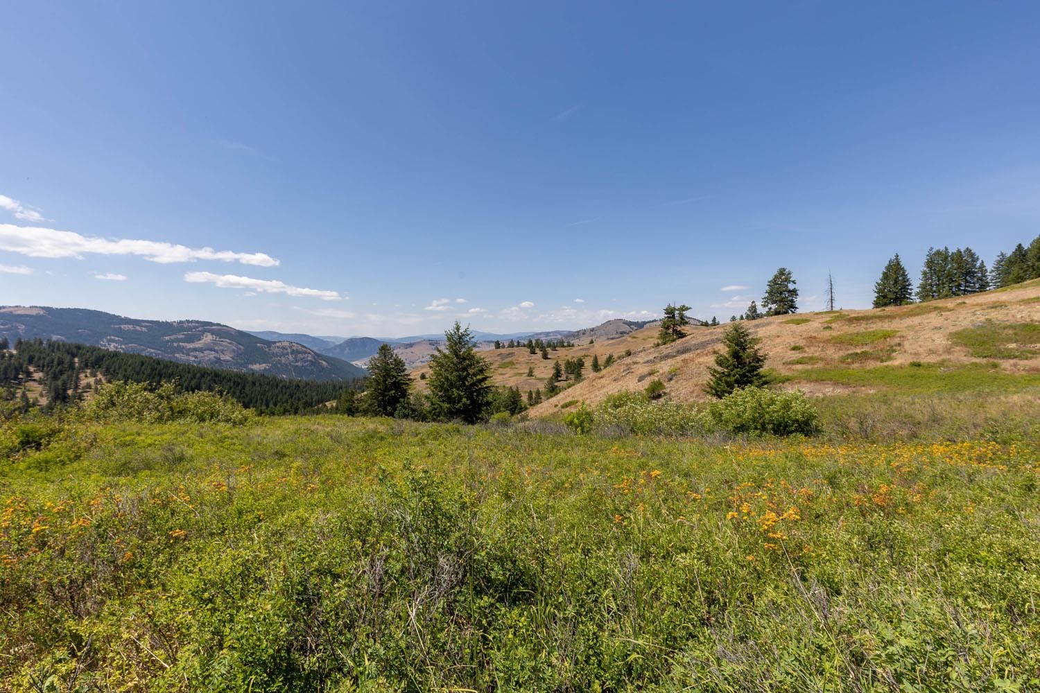 253 White Mountain Road Curlew, WA 99118 - Photo 37 of 49