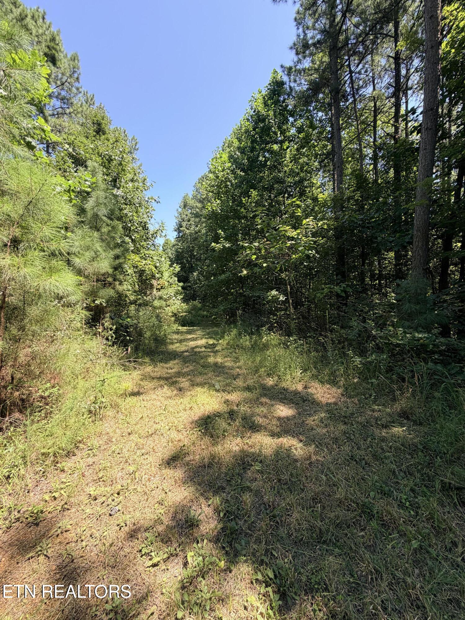 9 Flatwoods Road Philadelphia, TN 37846 - Photo 33 of 33 IMG_1247