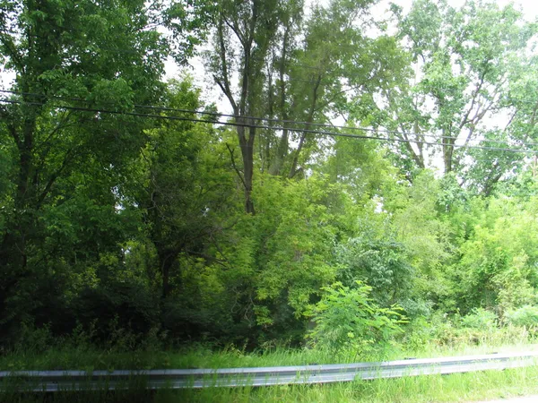 $6,000 | 0 Hewitt Road, Brooklyn, MI 49230