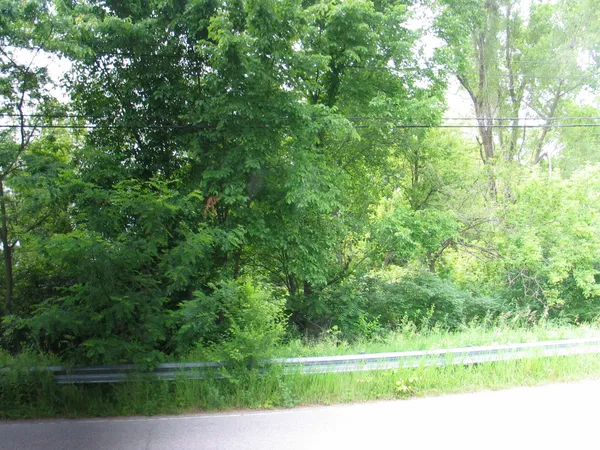 $6,000 | 0 Hewitt Road, Brooklyn, MI 49230
