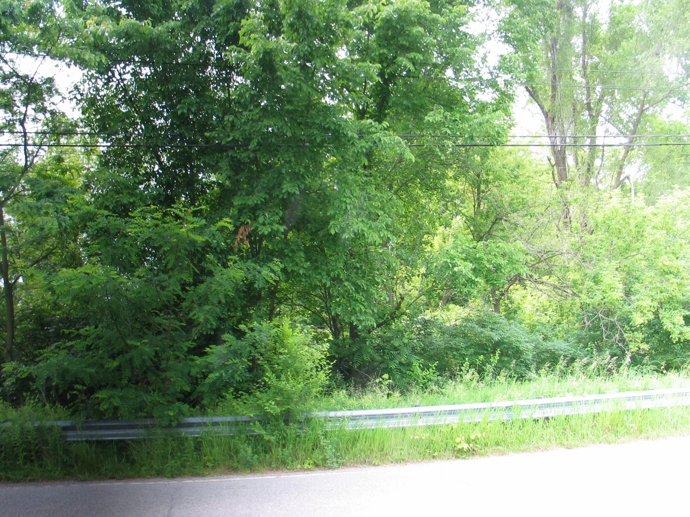 0 Hewitt Road Brooklyn, MI 49230 - Photo 2 of 2 IMG_7577