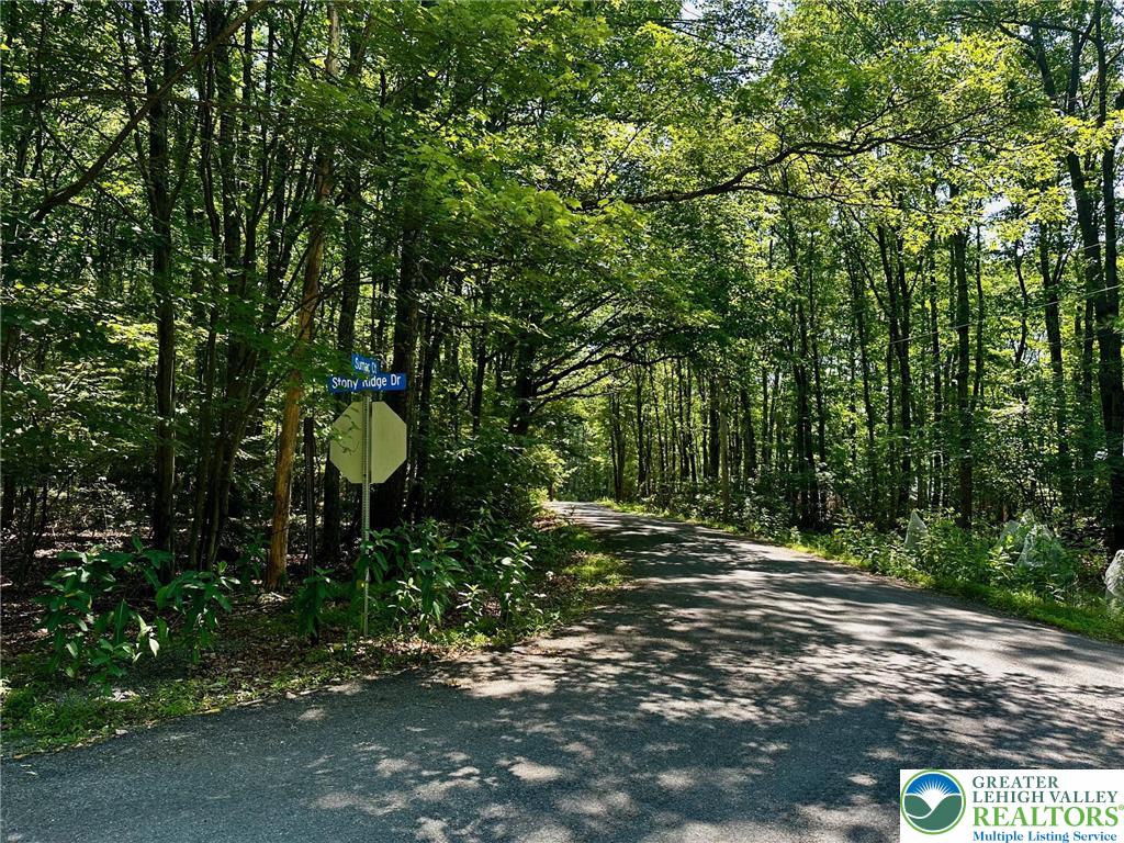 500 Sumac Court Kunkletown, PA 18058 - Photo 4 of 12 a view of outdoor space and yard