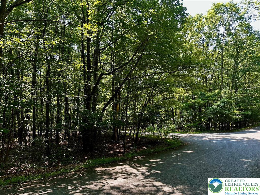 500 Sumac Court Kunkletown, PA 18058 - Photo 5 of 12 a view of a street view