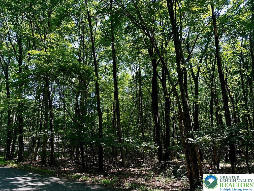500 Sumac Court Kunkletown, PA 18058 - Photo 6 of 12 a view of forest