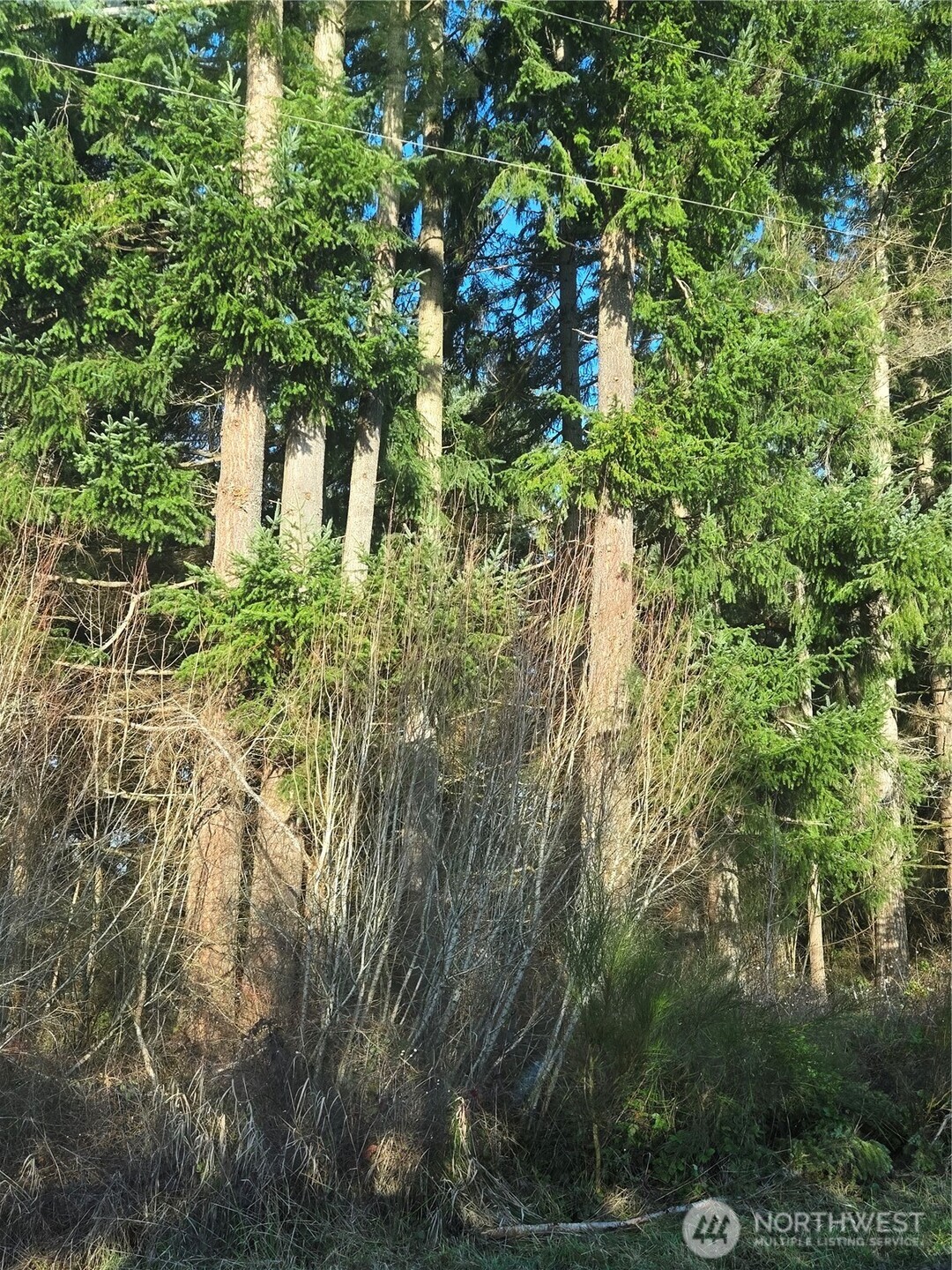 0 Clinton Road Chehalis, WA 98532 - Photo 11 of 12