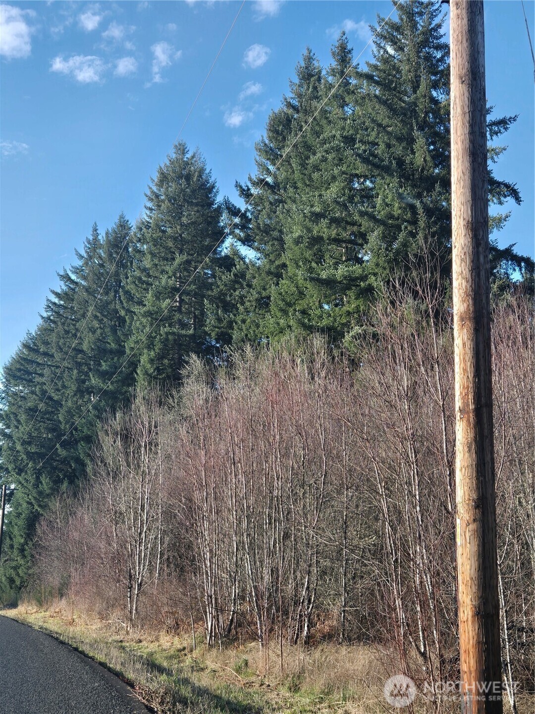 0 Clinton Road Chehalis, WA 98532 - Photo 4 of 12