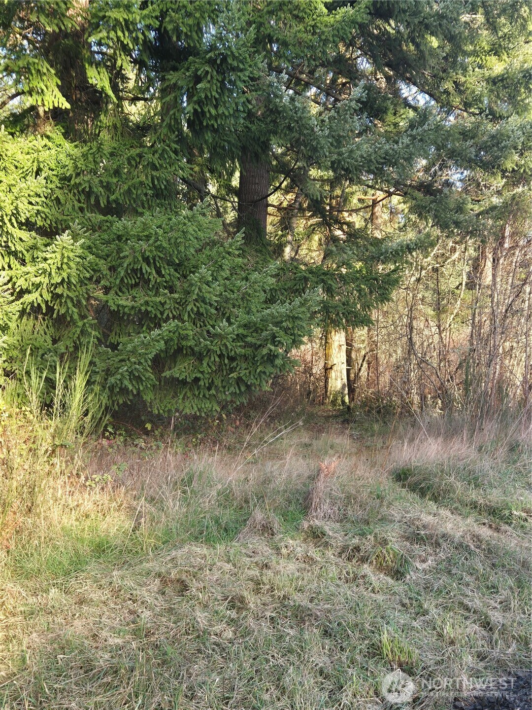 0 Clinton Road Chehalis, WA 98532 - Photo 6 of 12