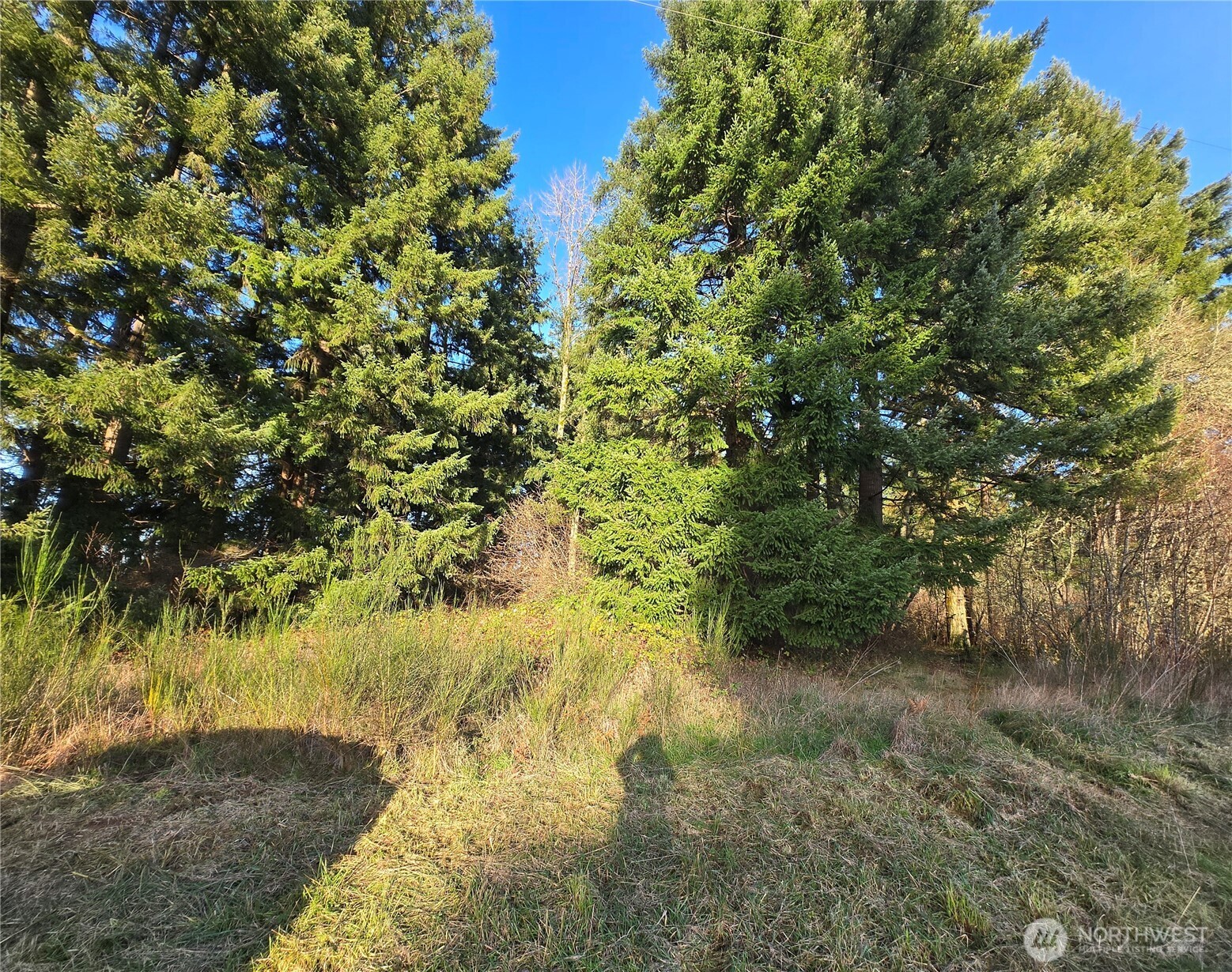 0 Clinton Road Chehalis, WA 98532 - Photo 7 of 12