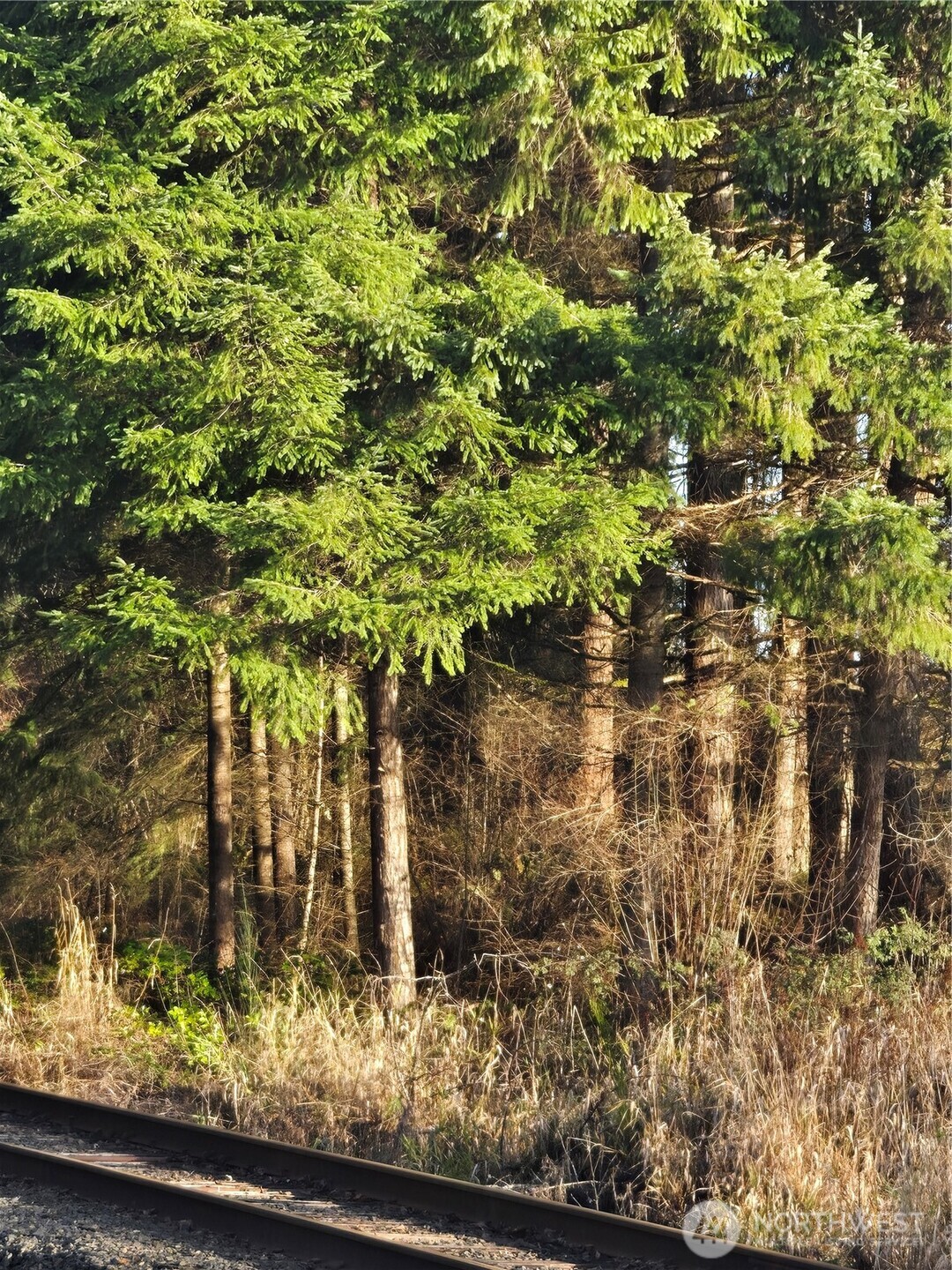 0 Clinton Road Chehalis, WA 98532 - Photo 9 of 12