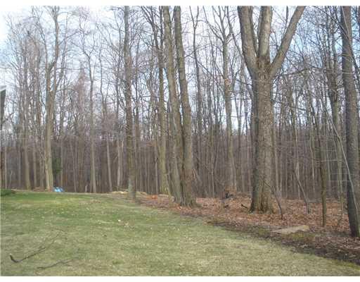 809 Beulah Church Road Apollo, PA 15613 - Photo 12 of 12 Land/Lot.