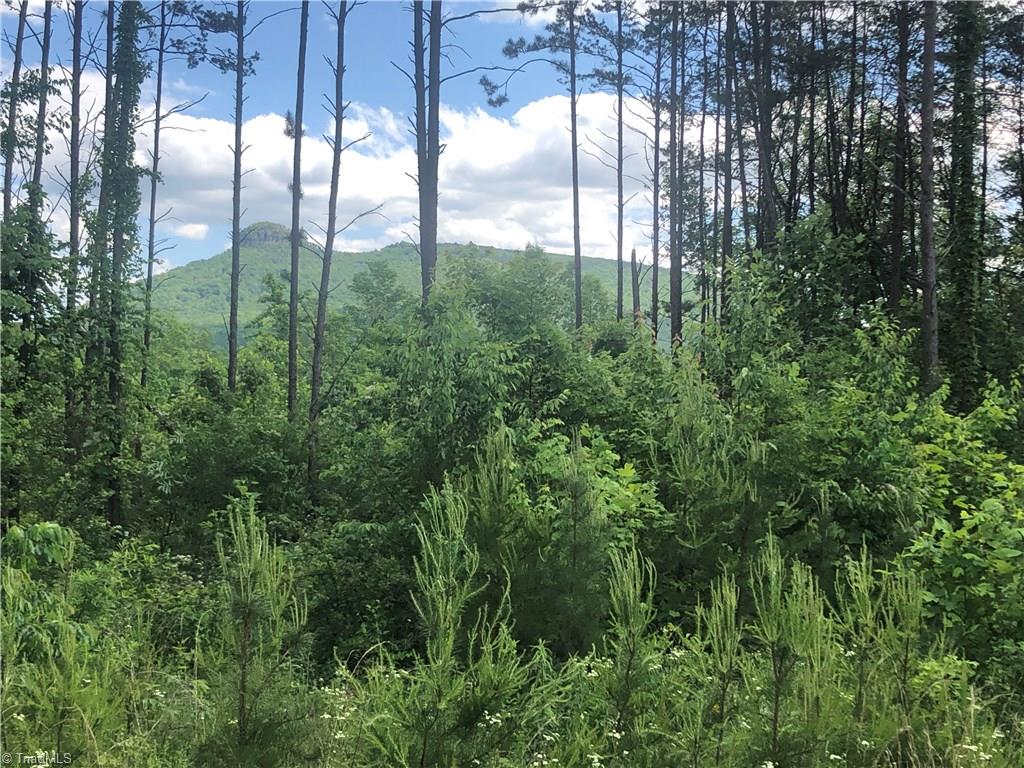 2.0-ac Golf Course Road Pilot Mountain, NC 27041 - Photo 1 of 12 Gallery Image 1