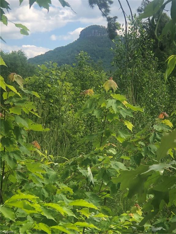 2.0-ac Golf Course Road Pilot Mountain, NC 27041 - Photo 2 of 12 Gallery Image 2