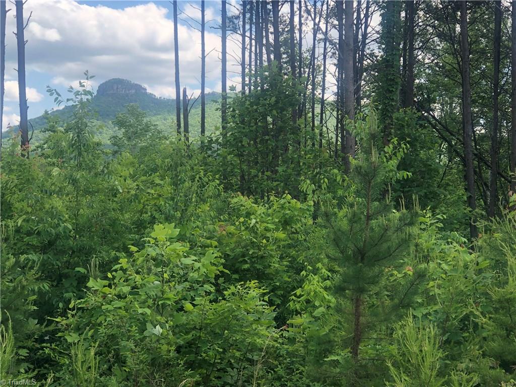 2.0-ac Golf Course Road Pilot Mountain, NC 27041 - Photo 11 of 12 Gallery Image 11