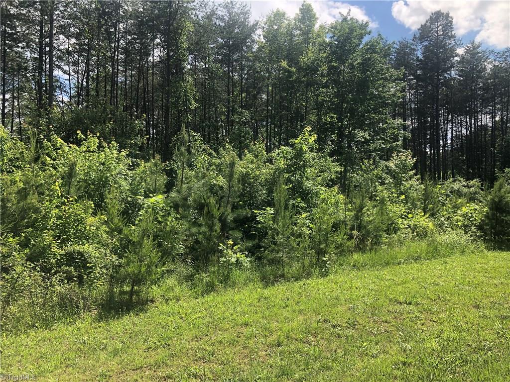 2.0-ac Golf Course Road Pilot Mountain, NC 27041 - Photo 3 of 12 Gallery Image 3