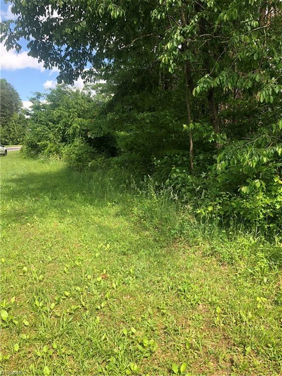 2.0-ac Golf Course Road Pilot Mountain, NC 27041 - Photo 4 of 12 Gallery Image 4