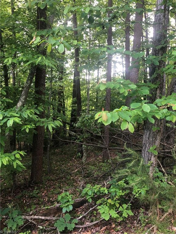 2.0-ac Golf Course Road Pilot Mountain, NC 27041 - Photo 5 of 12 Gallery Image 5