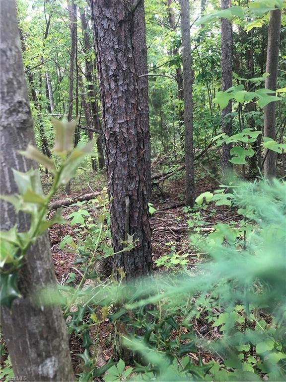 2.0-ac Golf Course Road Pilot Mountain, NC 27041 - Photo 6 of 12 Gallery Image 6