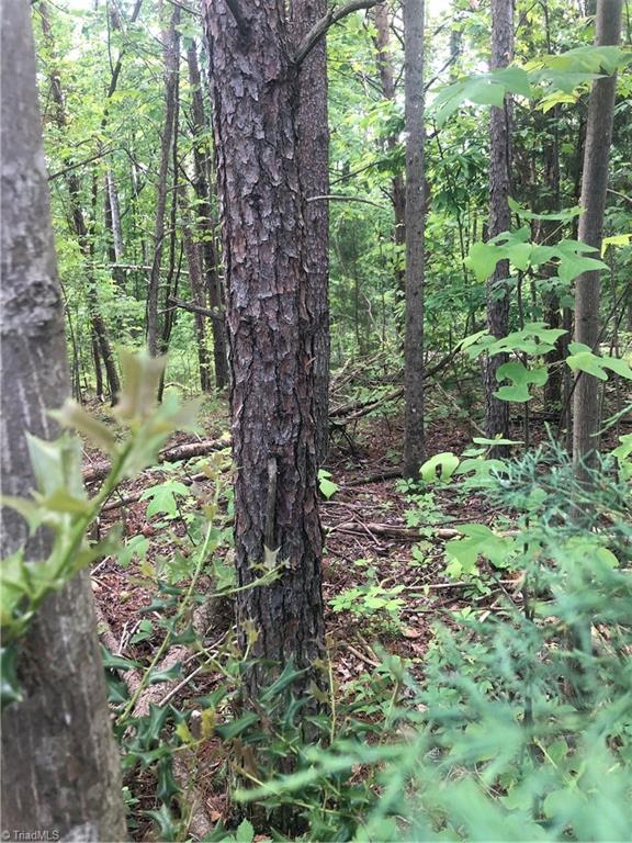 2.0-ac Golf Course Road Pilot Mountain, NC 27041 - Photo 7 of 12 Gallery Image 7
