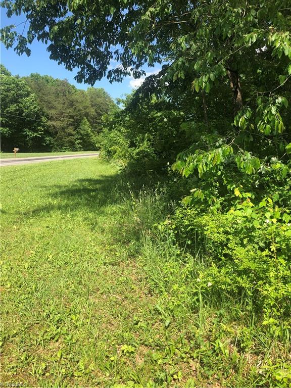 2.0-ac Golf Course Road Pilot Mountain, NC 27041 - Photo 8 of 12 Gallery Image 8