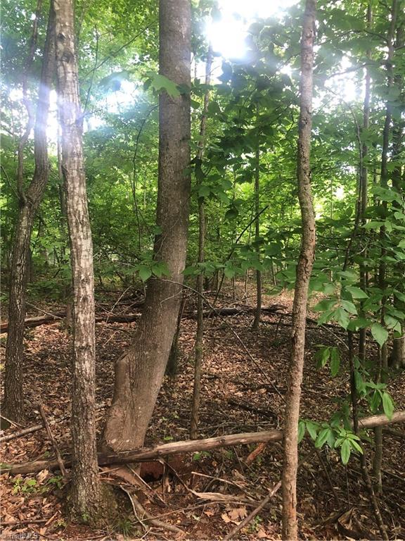 2.0-ac Golf Course Road Pilot Mountain, NC 27041 - Photo 10 of 12 Gallery Image 10