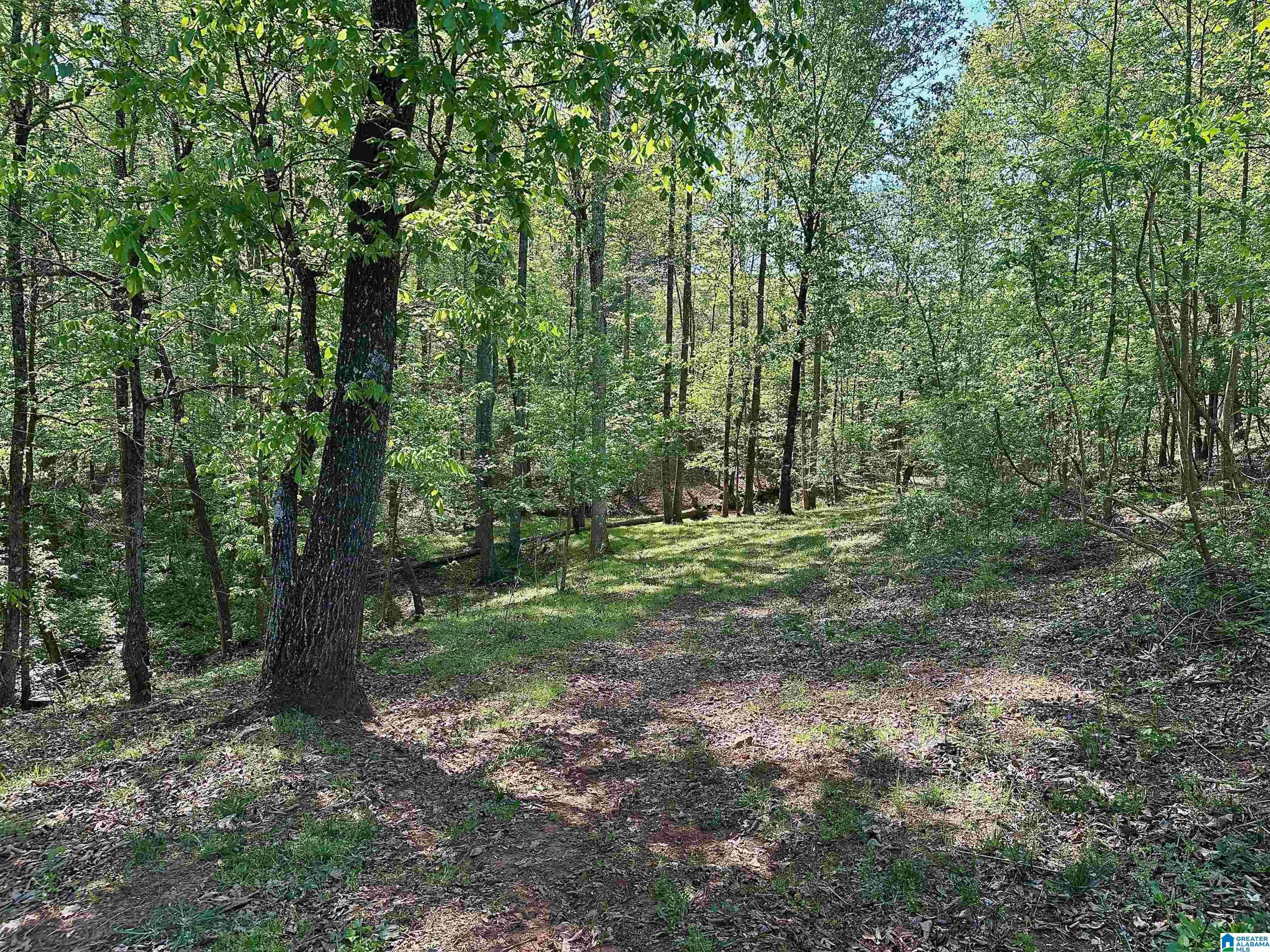 130 Kelly Road Ashland, AL 36251 - Photo 62 of 66