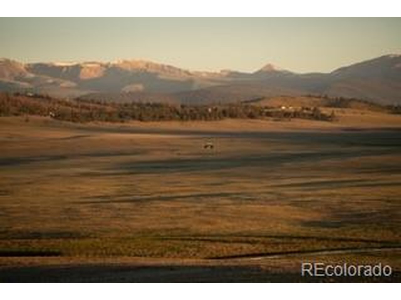 33185 9th Hartsel, CO 80449 - Photo 11 of 17