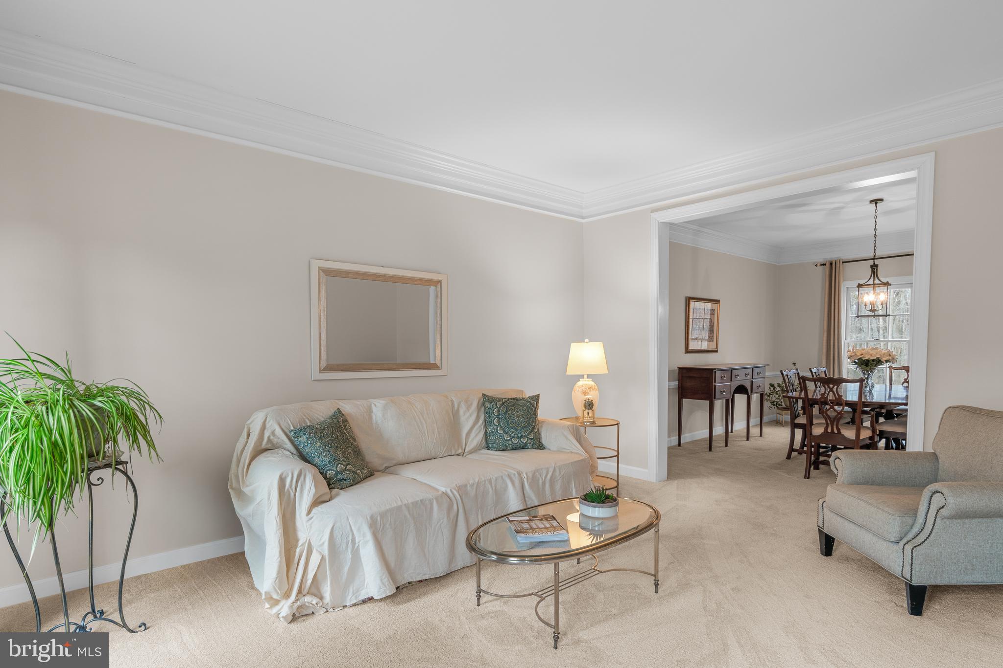 4615 Brightwood Road Olney, MD 20832 - Photo 18 of 45 a living room with furniture and a potted plant