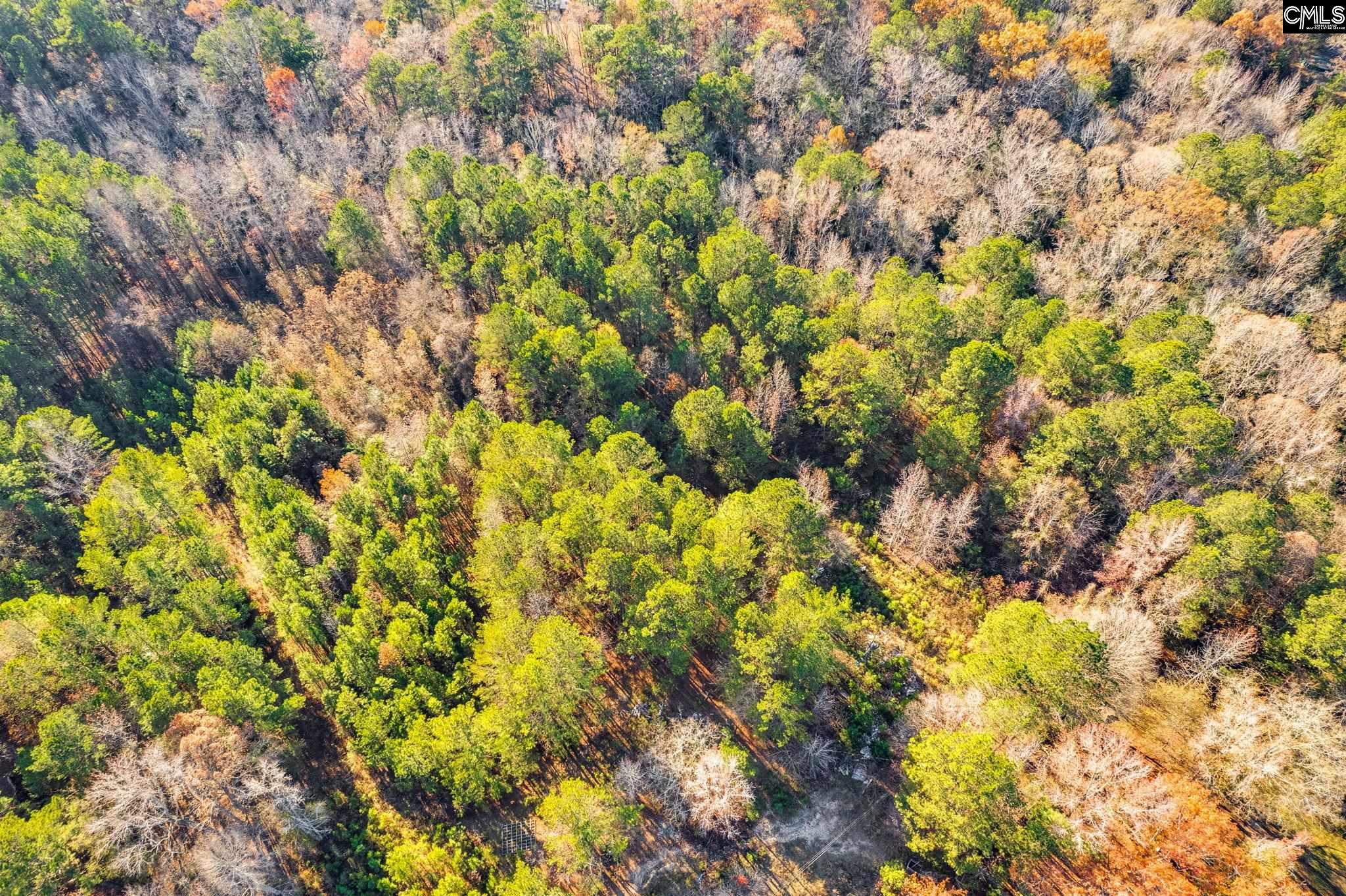 1089 Chestnut Hill Road Elgin, SC 29045 - Photo 11 of 17