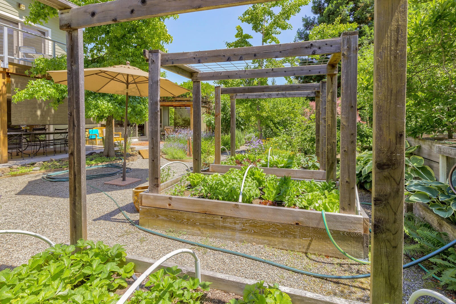 1652 Peachey Road Ashland, OR 97520 - Photo 34 of 45 Raised Bed Area