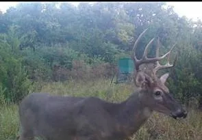 $509,000 | 12988 222nd Street, Linwood, KS 66052