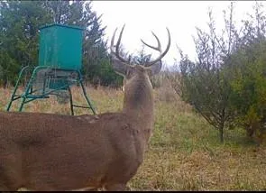 $509,000 | 12988 222nd Street, Linwood, KS 66052