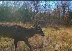 $509,000 | 12988 222nd Street, Linwood, KS 66052