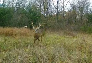 $509,000 | 12988 222nd Street, Linwood, KS 66052