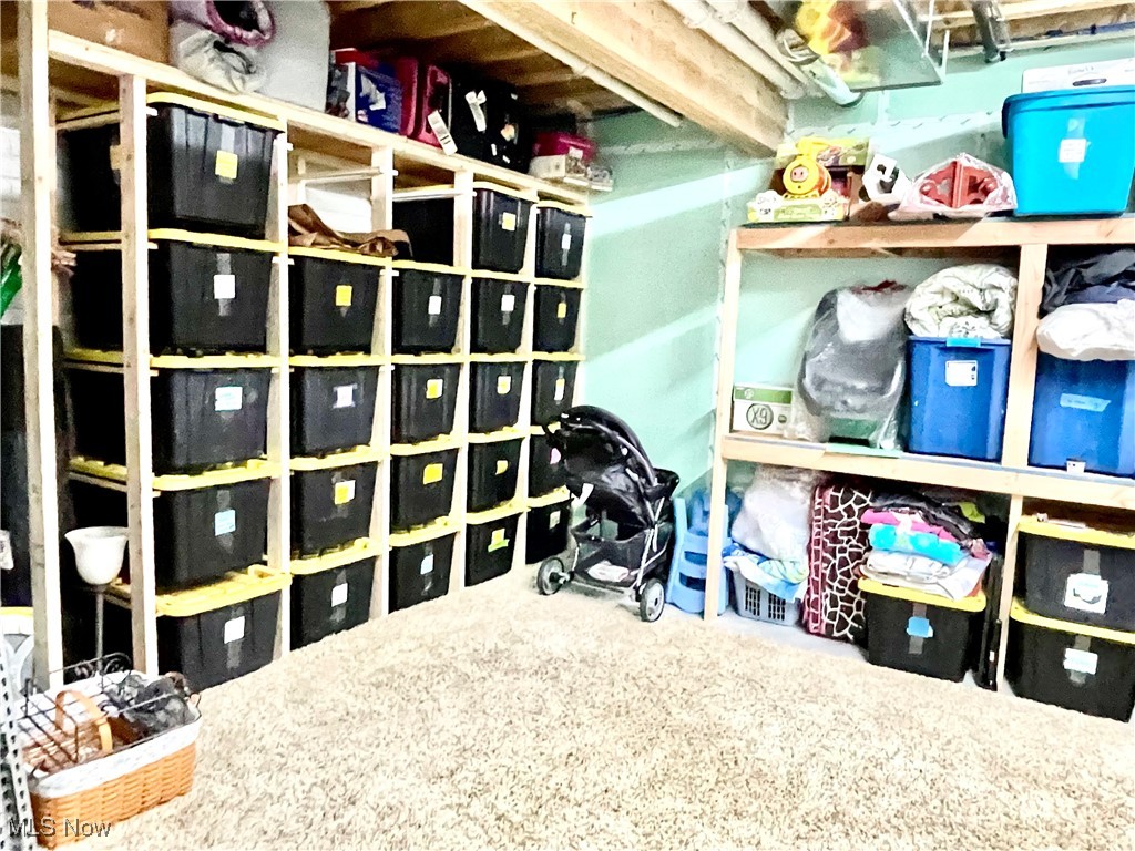 37250 Harry's Ridge Road Barnesville, OH 43713 - Photo 39 of 50 View of storage area