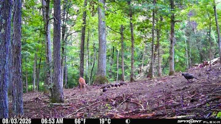 20162 Meada Road Nelsonville, OH 45764 - Photo 29 of 39 IMG_1387