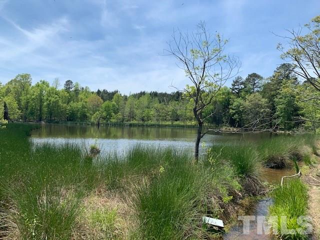 0 Paynes Tavern Road Roxboro, NC 27574 - Photo 2 of 8 a view of lake