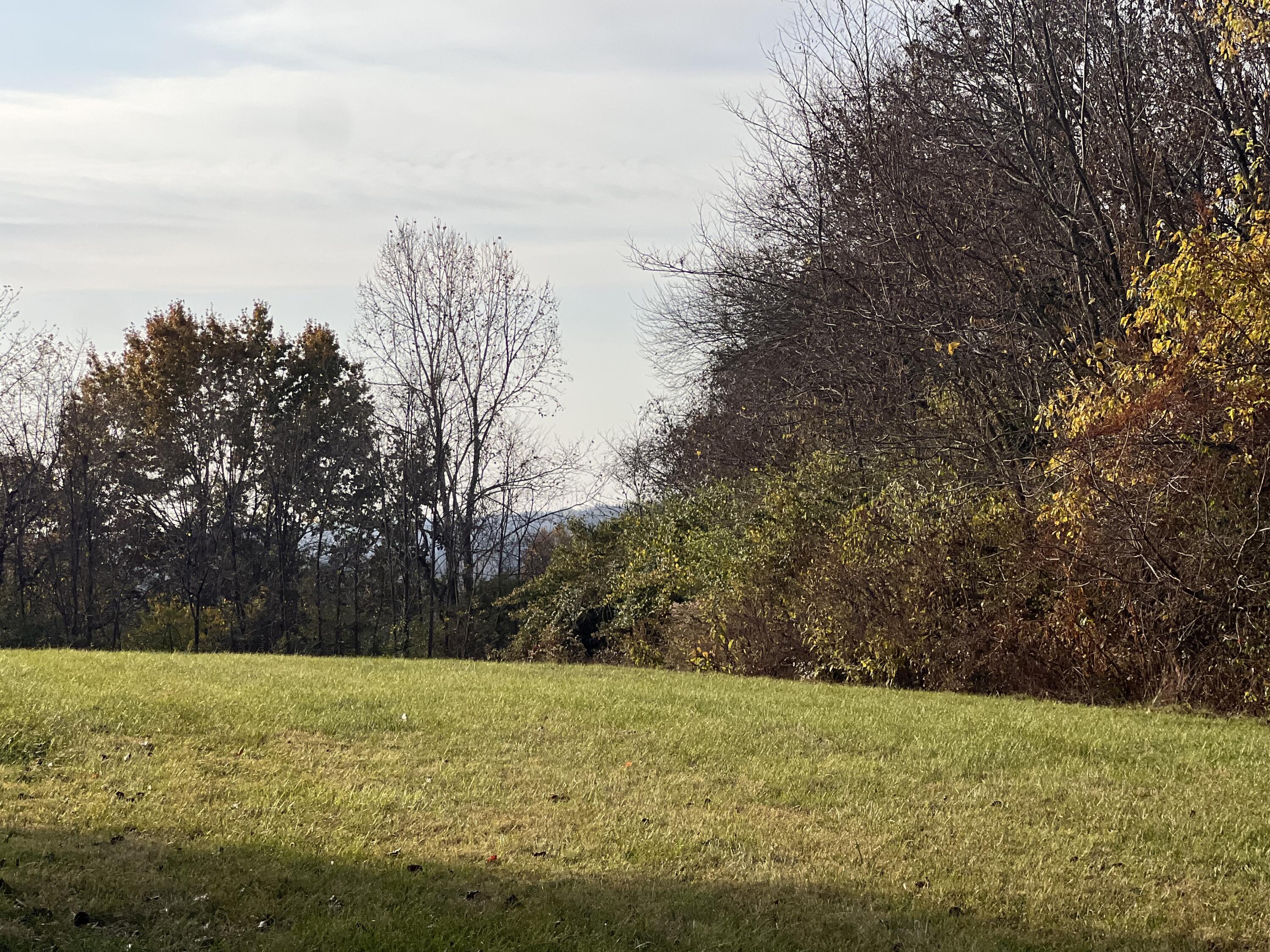 Tract A Kissing Ridge Road Nicholasville, KY 40356 - Photo 1 of 5 photos2