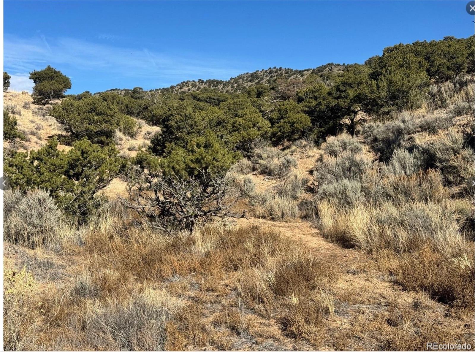 Lot 2446 Zuni Road Fort Garland, CO 81133 - Photo 12 of 15 Gallery Image 12