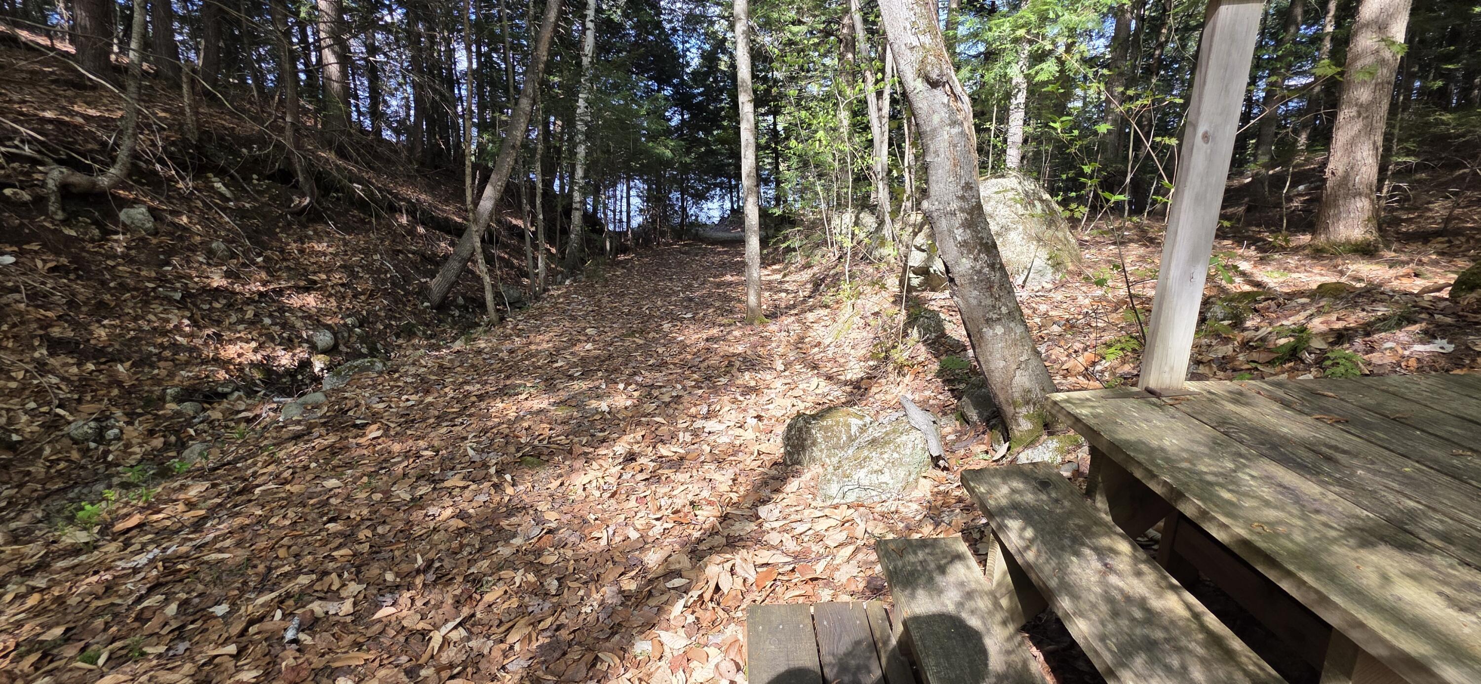 1261 Turkey Tail Road Millinocket, ME 04462 - Photo 4 of 41 20250515_152701