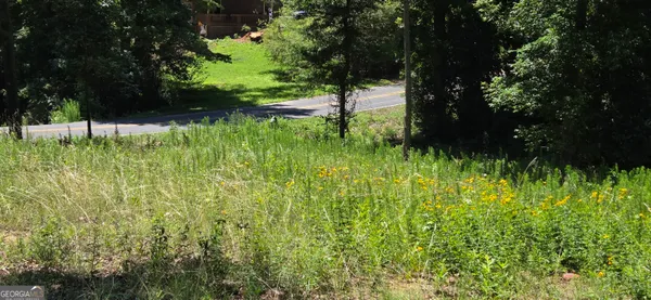 a view of backyard with green space