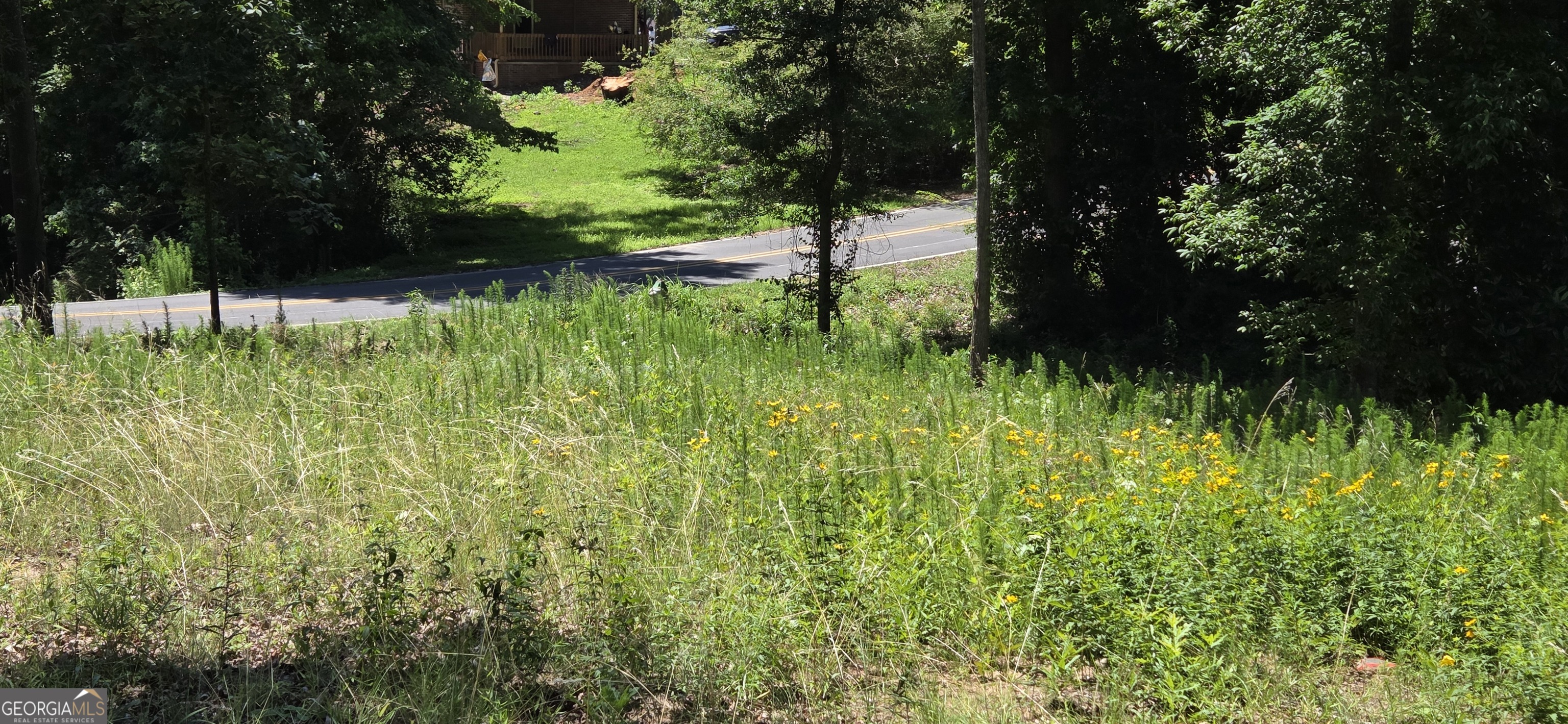 a view of backyard with green space