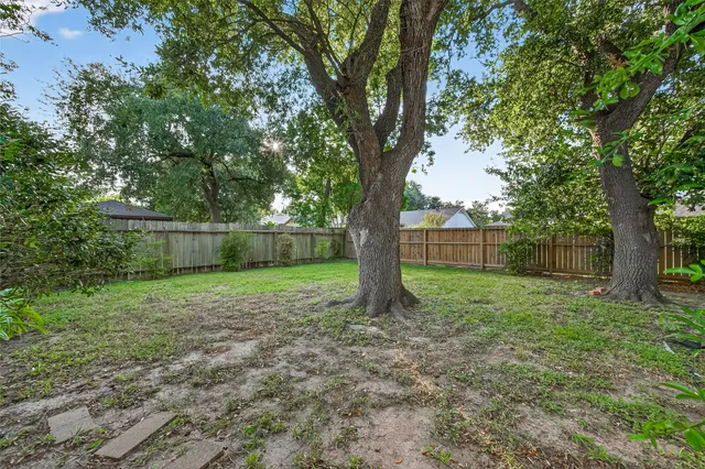 a view of a yard with a tree
