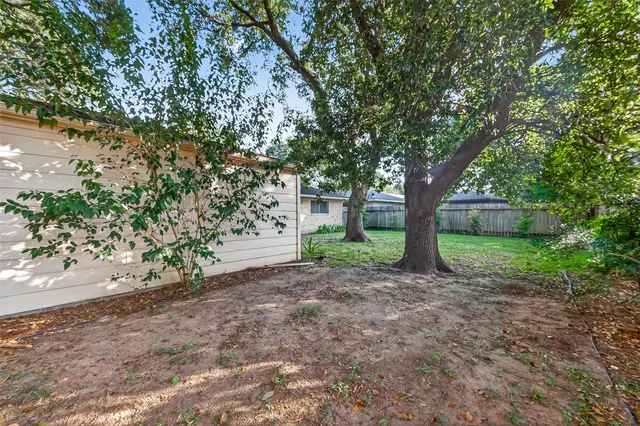 a view of a yard with plants and a large tree