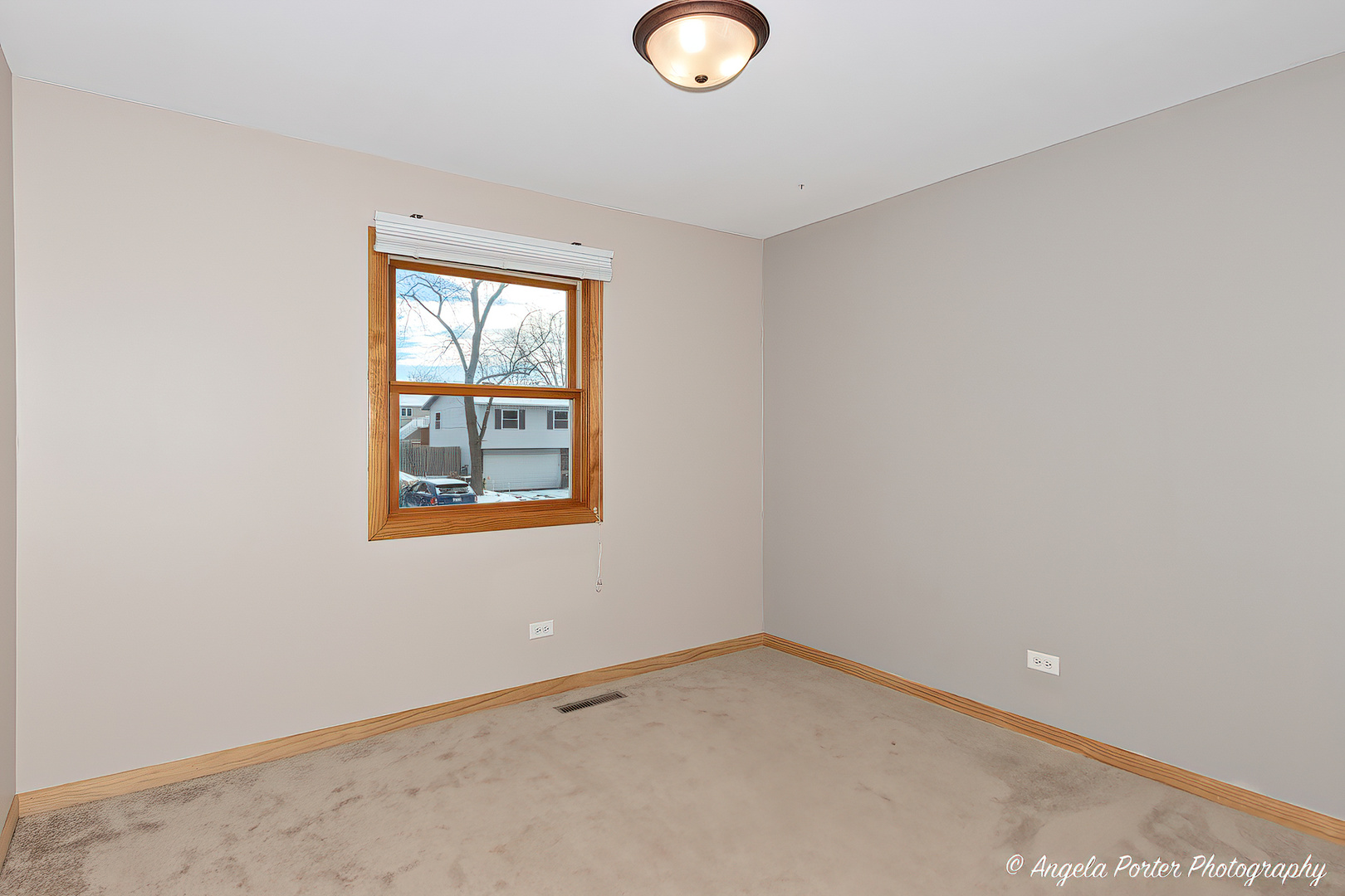 6715 Pheasant Trail Cary, IL 60013 - Photo 17 of 29