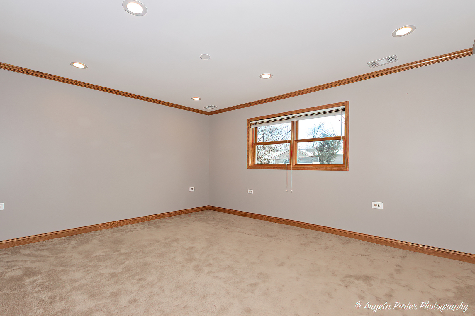 6715 Pheasant Trail Cary, IL 60013 - Photo 21 of 29